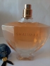SHALIMAR 90ml LUXE