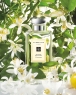 Orange Blossom 100ml LUXE