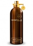 Aoud Forest TESTER